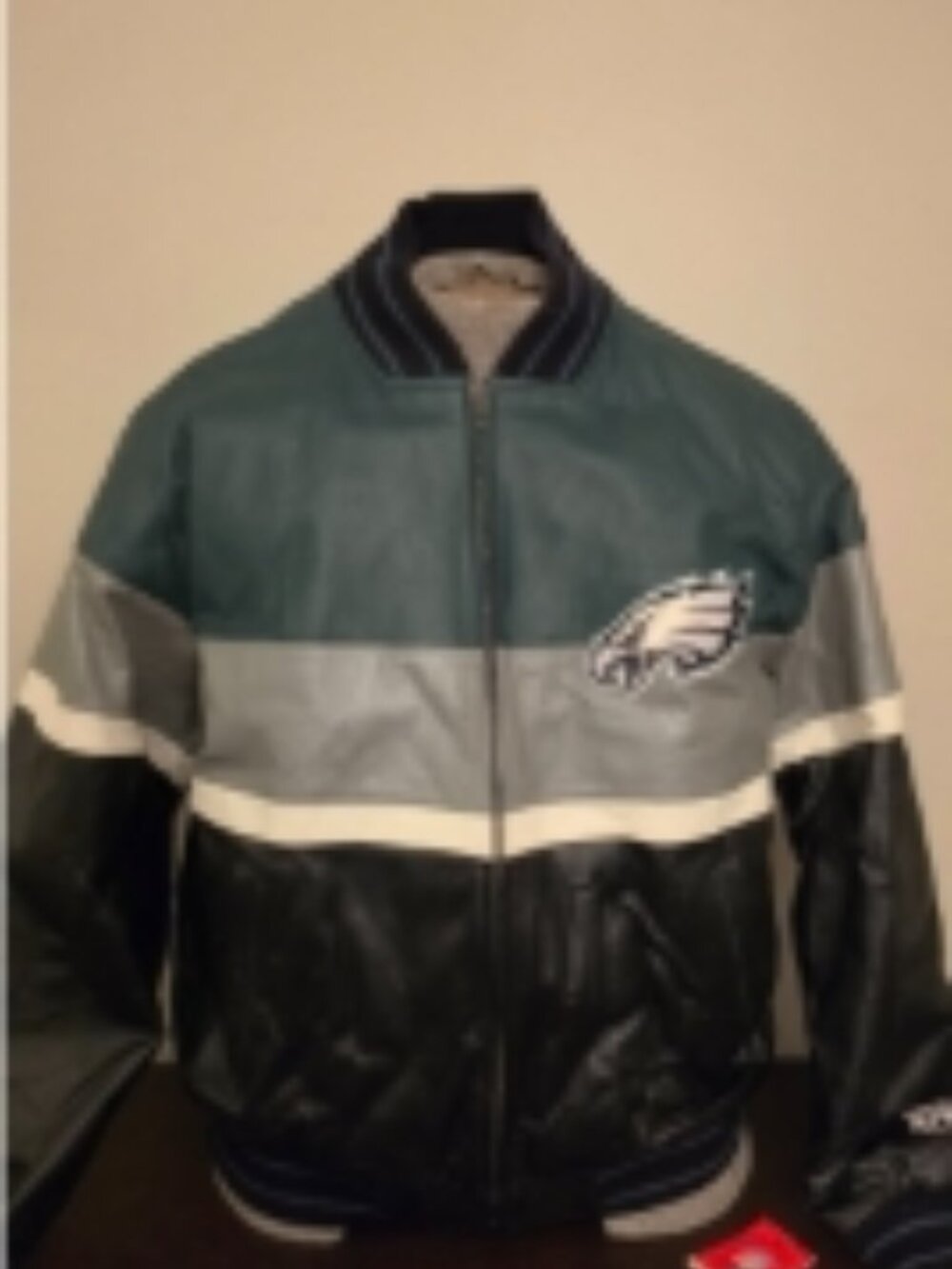 Rare/vintage G111 Sports Philadelphia Eagles leather bomber jacket size medium